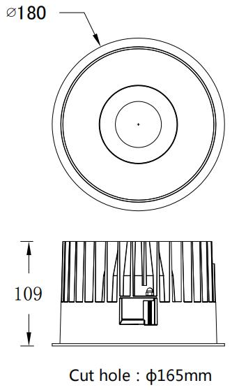 DP165R - 40W